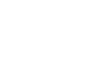 Longvie transparente 1