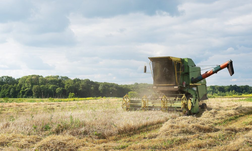 harvest-combine-harvester-harvesting-ripe-wheat-2025-02-09-22-50-18-utc-min