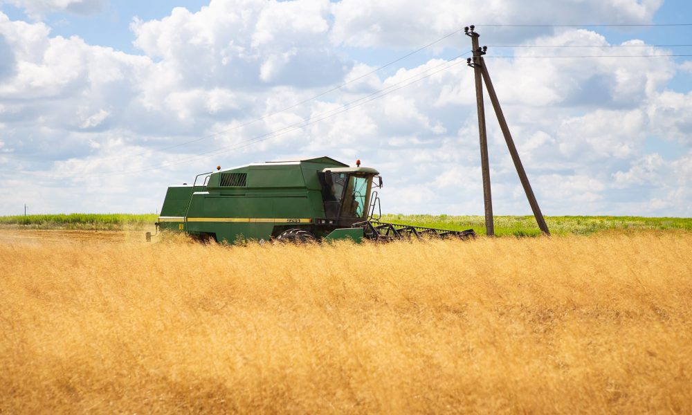 large-wheat-field-harvesting-by-a-combine-harveste-2025-02-10-00-30-39-utc-min